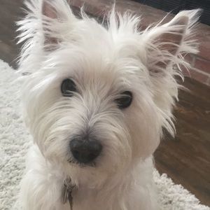 Meet your Posher, Kait